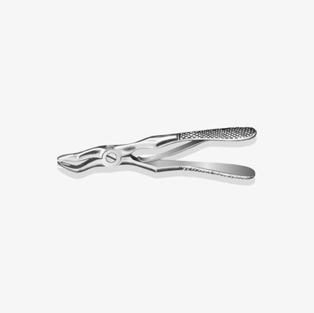 Extraction Forceps